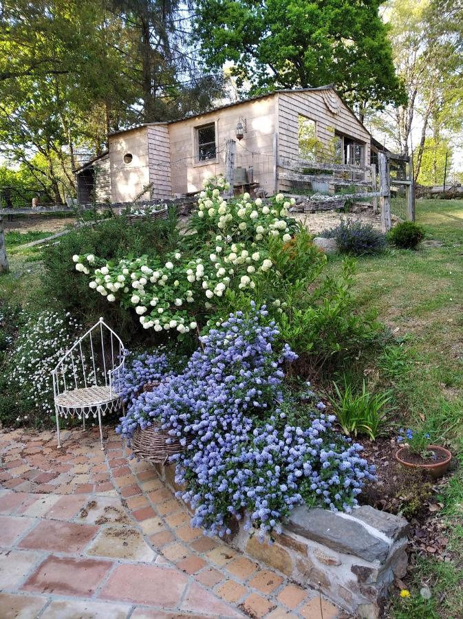 Maison Dans Un Environnement Boise Tres Calme Βίλα Μορλαί Εξωτερικό φωτογραφία